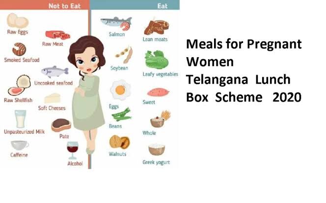 Telangana Lunch Box Scheme 
