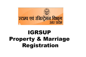 IGRSUP 2021