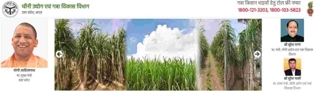 sugarcane slip calendar