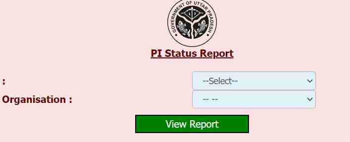 View PI Status Report