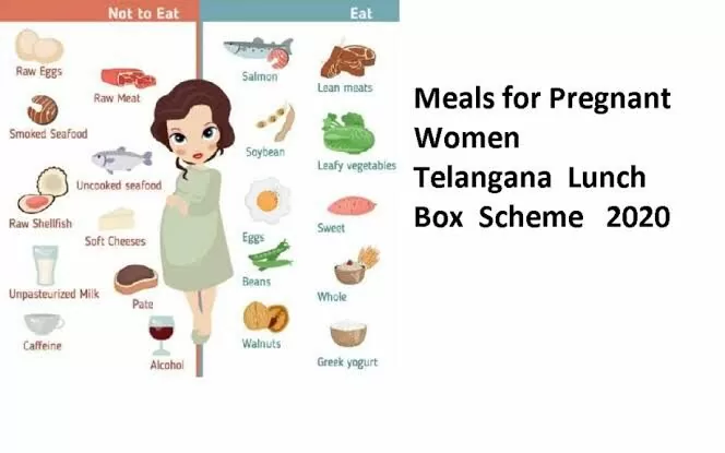 Telangana Lunch Box Scheme 