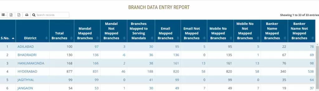 Branch Data Entry Report